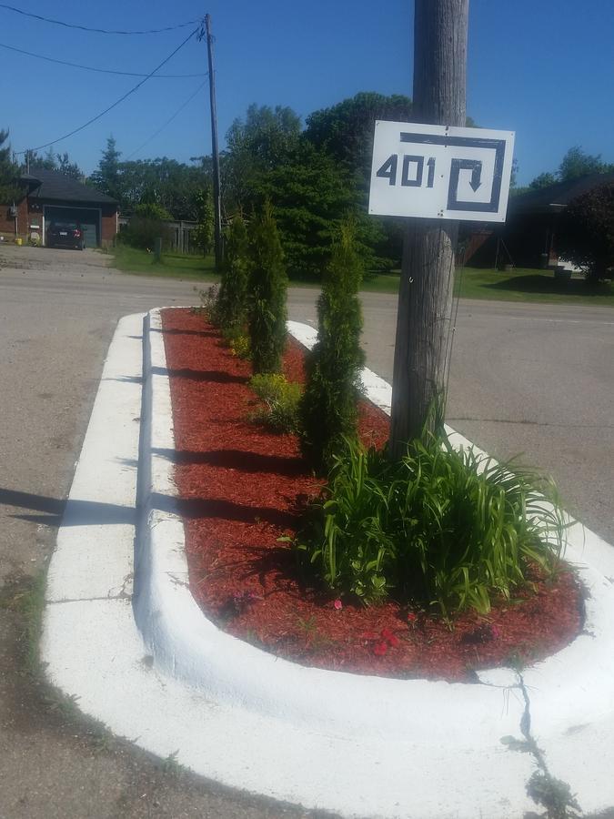 Twin Oaks Motel Orono Dış mekan fotoğraf